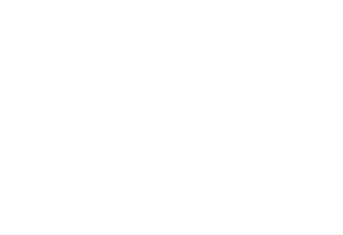 Andino Global