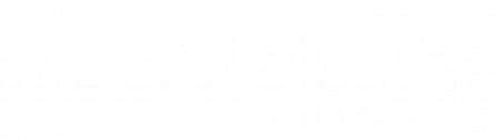 Andino Capital
